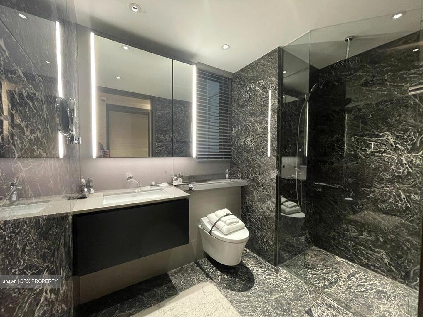 Wallich Street (D2), Condominium #497128471